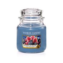 Svece, aromātiskā Yankee Candle, 90 h, zila krās.