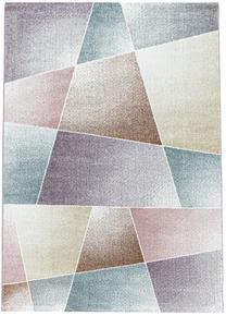 Kilimas vidaus Ayyildiz Rio RIO2403404603MULTI, įvairių spalvų, 340 cm x 240 cm