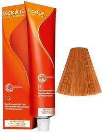 Matu krāsa Kadus Professional Demi-Permanent Color, light blonde copper gold krās., 8/43, 60 ml