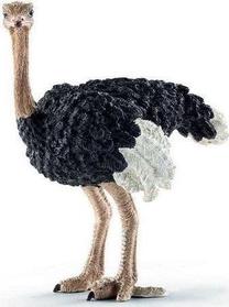 Фигурка-игрушка Collecta Ostrich 88459, многоцветный
