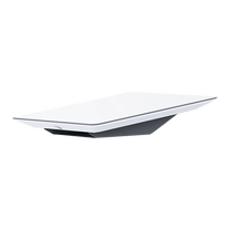 5G modems Starlink Flat High Performance Kit, balta krās./pelēka krās.