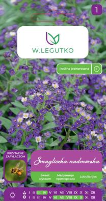 Sėklos lobuliarija VIOLET, 0.5 g