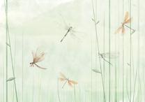 Fototapete Artgeist Dragonflies In The Meadow, 210 cm x 294 cm