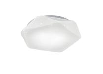 Šviestuvas plafonas Trio Oregon 657710100, LED, 4000 °K, 1 x 21 W