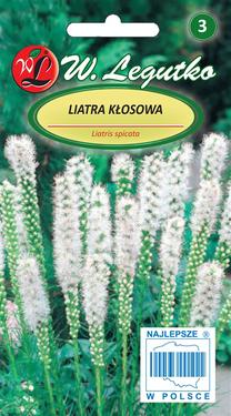 Sėklos liatris