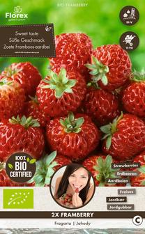Daigai braškės FRAMBERRY BIO, 2 vnt.