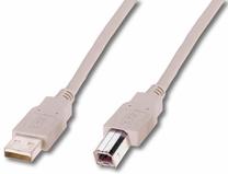 Vads Assmann USB 2.0 A male, USB 2.0 B male, 1.8 m, gaiši brūna krās.