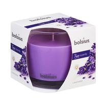 Žvakė, aromatinė Bolsius, 43 h, violetinė sp.