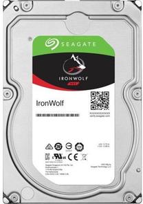 NAS kõvaketas Seagate, 10000 GB