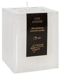 Žvakė, aromatinė Home4you, 48 h, balta sp.