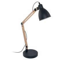 Stalinis šviestuvas Eglo Torona 96958, E14, 28W