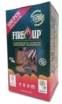Grilio įkuras Fire-Up