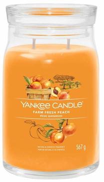 Žvakė, aromatinė Yankee Candle Signature Farm Fresh Peach, 60 - 90 h, 567 g, oranžinė sp.