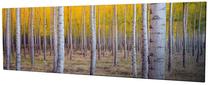 Reprodukcija Wallity, 257mjs3270, 80 cm x 30 cm