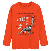 Krekls ar garām piedurknēm, klasisks, zēniem Cool Club CCB2711360, oranža krās., 92 cm