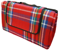 Stovyklavimo kilimėlis Besk Picnic Rug, mėlyna sp./raudona sp./žalia sp., 200 x 150 cm