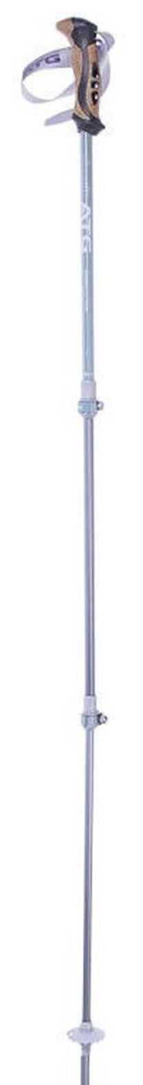 Šiaurietiško ėjimo lazda Pinguin, 63 - 135 cm