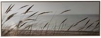 Reproduktsioon Home4you Wally Rushes, 140 cm x 50 cm