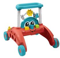 Детский толкатель - ходунки Mattel Fisher Price Steady Speed, 41.9 см, многоцветный