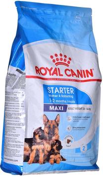 Kuiv koeratoit Royal Canin Starter Mother And Babydog Maxi, linnuliha, 4 kg