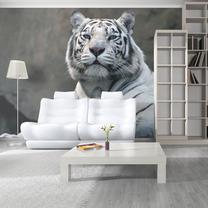Фотообои Artgeist Bengali Tiger In Zoo 4XLFTNT1023SAM, 309 см x 392 см
