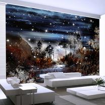 Fototapete Artgeist Night in the forest NEW010850SAM, 256 cm x 343 cm