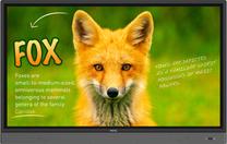 Monitorius BenQ RP653K Interactive Flat Panel Display, 65", 6 ms