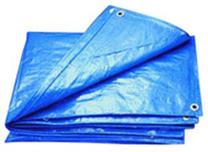 Koormakate OEM Assorted, (värv/disain valitakse juhuslikult), 12 m x 8 m