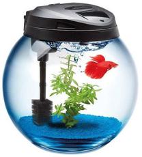 Akvariumas Aquael Sphere 37, juoda sp., be įrangos, 25 l