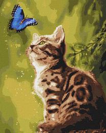 Glezna pēc numuriem Ideyka Mysterious Butterfly KHO4150, daudzkrāsaina
