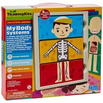 Обучающая игрушка 4M My Body System, многоцветный