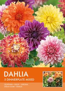 Sibullilled daaliad