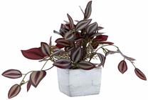 Dirbtinis augalas vazone Home4you Greenland, žalia sp., 18 cm