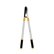 Šakų sekatorius sausoms šakoms Forte Tools, 79 cm