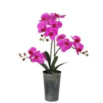 Mākslīgie ziedi Home4you In Garden, rozā krās./pelēka krās., 63 cm