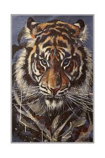 Kilimas Conceptum Hypnose HMNT180, įvairių spalvų, 180 cm x 120 cm