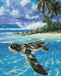 Tapymas pagal skaičius Picture Paint It! Tropical Turtle, įvairių spalvų