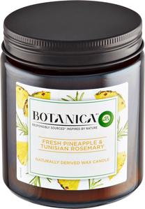 Žvakė, aromatinė Air Wick Botanica Fresh Pineapple & Tunisian Rosemary, 40 h, ruda sp.