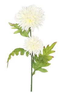 Dirbtinė gėlė, chrizantema Domoletti, balta sp., 75 cm