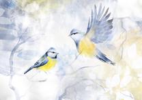 Фотообои Artgeist Watercolor Tit, 280 см x 392 см