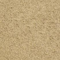 Carpet Mango, 160x240 cm