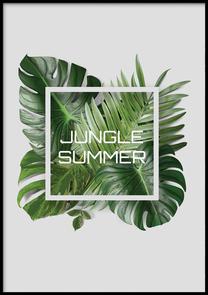Pilt DecoKing Jungle Summer, 40 cm x 50 cm
