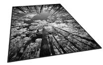Kilimas vidaus Conceptum Hypnose ELS1902, juoda sp./pilka sp., 230 cm x 160 cm