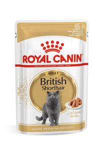 Mitrā kaķu barība Royal Canin British Shorthair Adult in Sauce, 0.085 kg