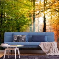 Fototapete Artgeist Forest Colours, 210 cm x 300 cm