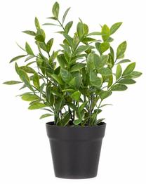 Dirbtinė gėlė Homla Donate Amended Essentials, žalia sp., 23 cm