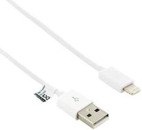 Laidas 4World, USB/Apple Lightning, balta sp.