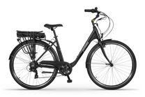 Elektrinis dviratis Ecobike Basic Greenway, 19", 28", 250 W, 11.6 Ah, juoda sp.