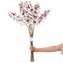 Dirbtinė gėlė, orchidėja AmeliaHome Faleni, balta sp., 76 cm