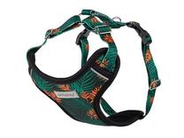 Petnešos šunims Amiplay Discovery BeHappy, oranžinė sp./žalia sp., 700 - 1050 mm x 25 mm, XXL